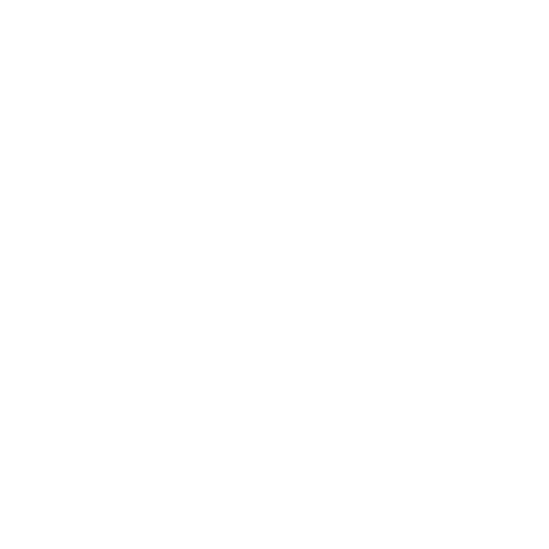 Lokalisierung Deutschland für NetSuite